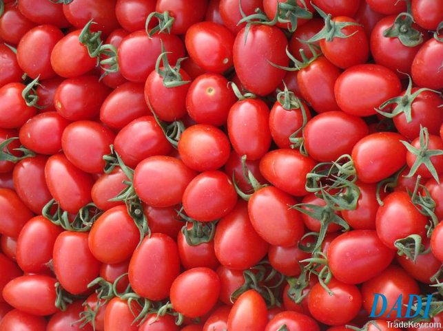 cherry tomato