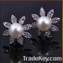 fashion earring/jewelry