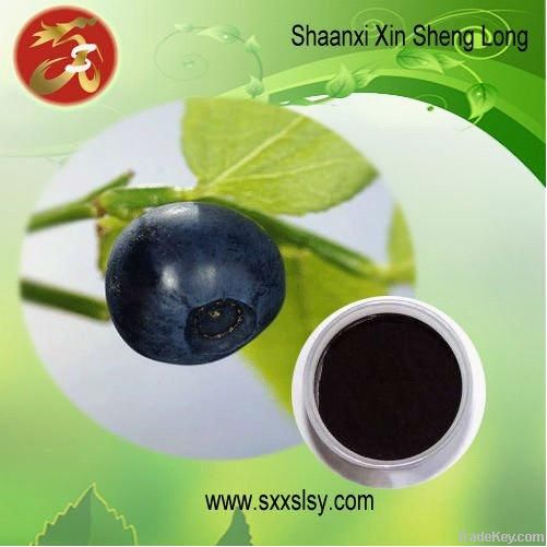 Bilberry Extract