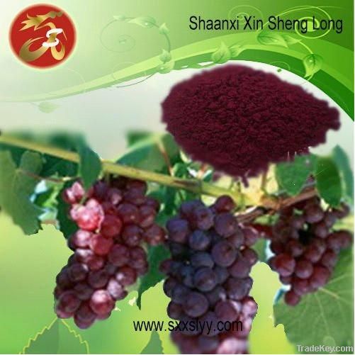 Grape Skin Extract/Polyphenols