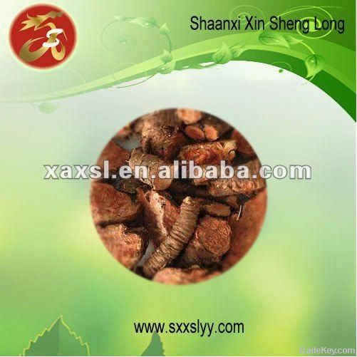 Rhodiola Rosea Extract