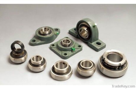 Thrust Ball Bearing