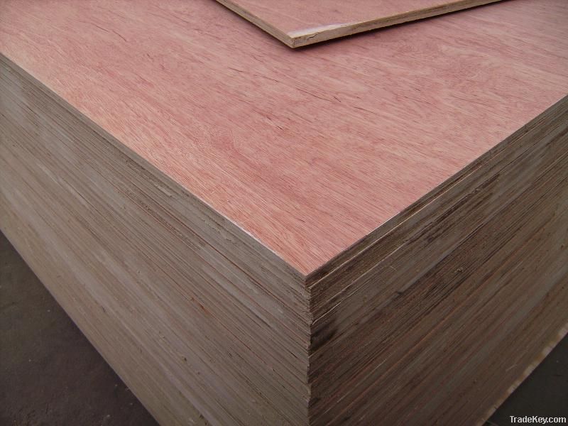 Bintangor plywood