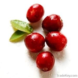 Cranberry extract