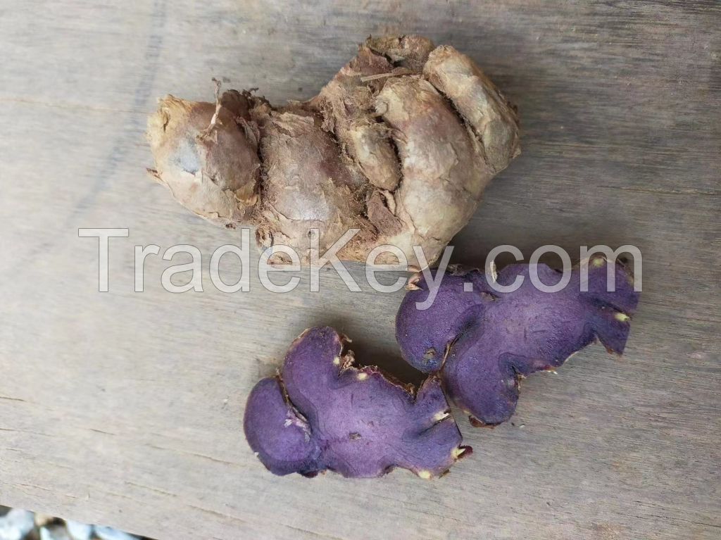 Black Ginger P.E. &amp; Kaempferia Parviflora capsules