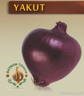 Yakut