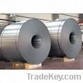 hot dipped galvanized steel coils