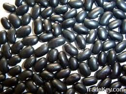 100% pure and high quality Black Beans