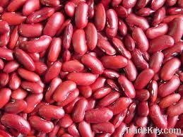 High quality and 100% pure Red beans