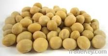 100% pure and best Soybeans with competitive price