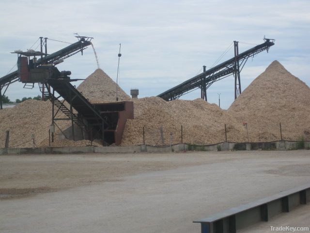 EUCALYPTUS WOOD CHIPS