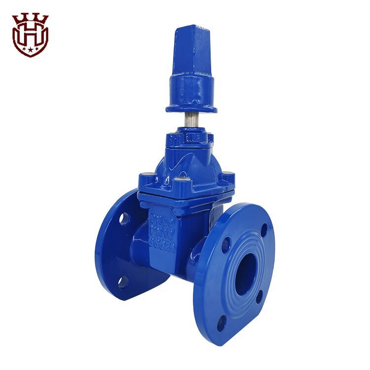 BS5163 Resilient Seated Gate Valve