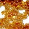 Ion exchange resin