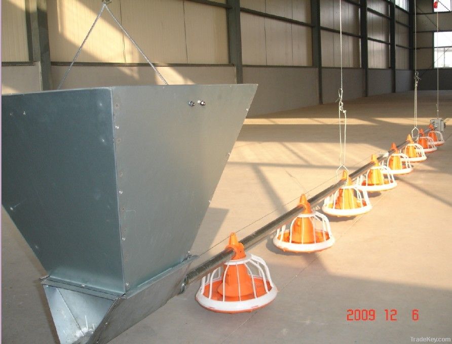 Automatic Poultry Farm Equipment