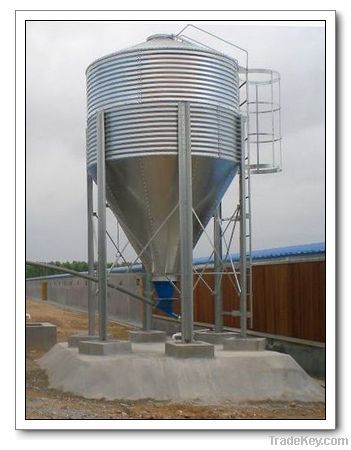 Poultry Main Feeding System