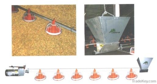 Poultry Automatic Feeding System