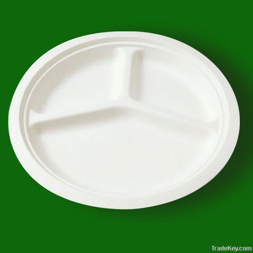 biodegradable disposable paper plate