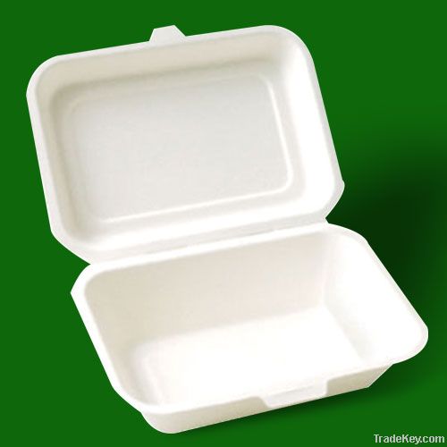 biodegradable disposable lunch box