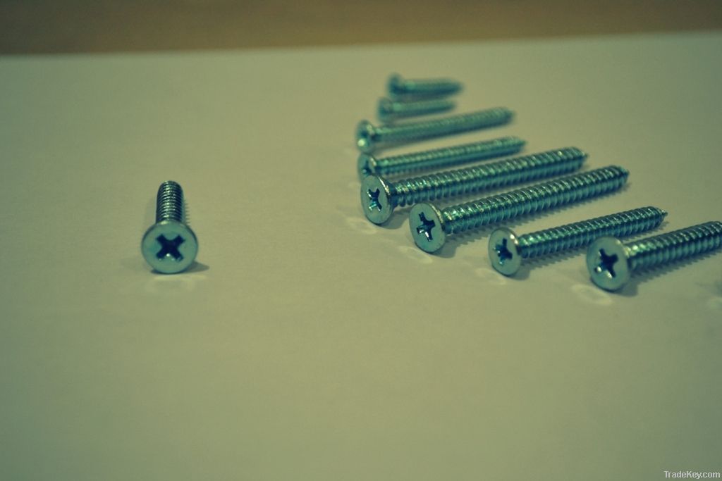 Self Tapping Screws