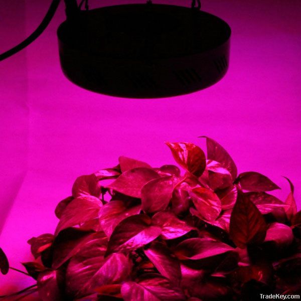 Led Grow Light 50W(50*1W)