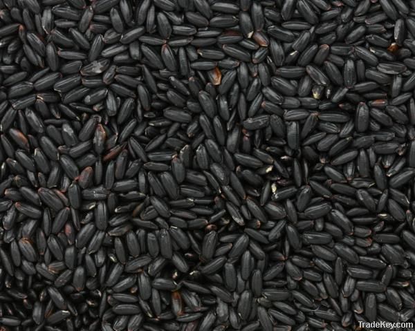 BLACK RICE