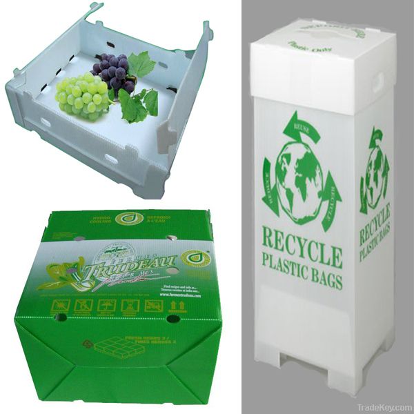 pp plastic box for packing