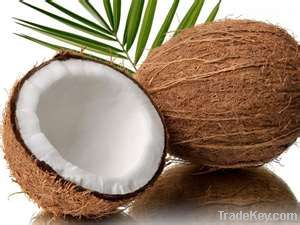 coconut