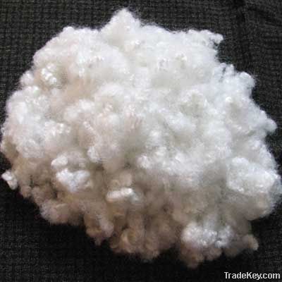 Hollow Conjugated Polyester Staple Fiber 8D*32MM, 51MM