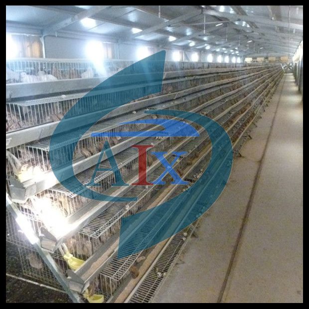 galvanize quail cage  hot sell 0086-18237112108