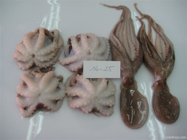 FROZEN BABY OCTOPUS WHOLE CLEANED