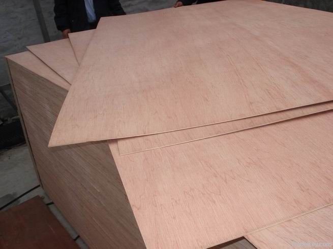 cheap birch , okume, bintangor furniture plywood price