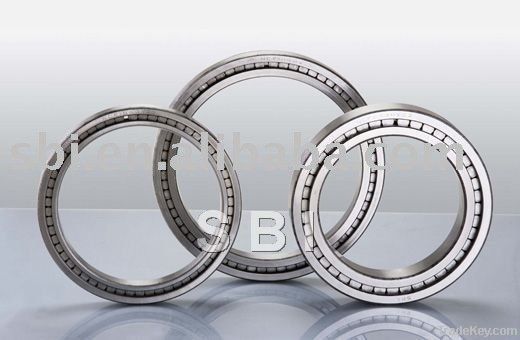 Single row full complement cylindrical roller bearing