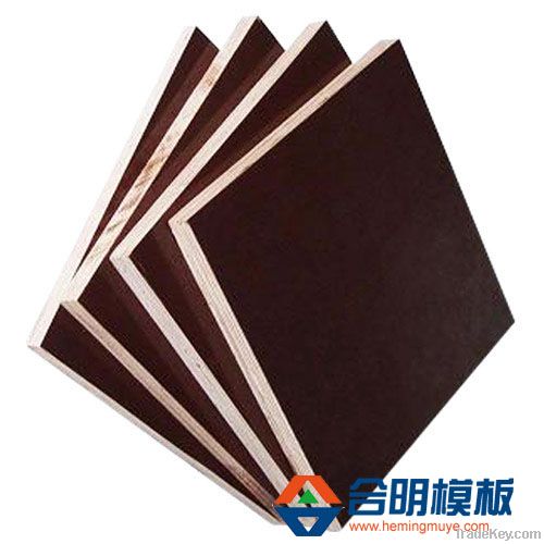 Brown Film Faced Plywood