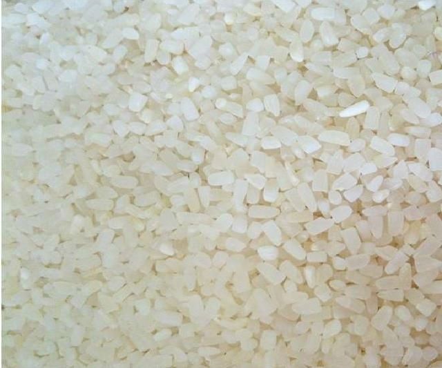 Rice | Rice Exporter | Rice Distributor | Rice Wholesaler | Rice Supplier | Rice Importer | Basmati Rice | Rice For Sale | Long Grain Rice Exporter | Buy Rice Online | Rice For Sale | Basmati Rice Exporter | Basmati Rice Wholesaler | Long Grain Rice buyer