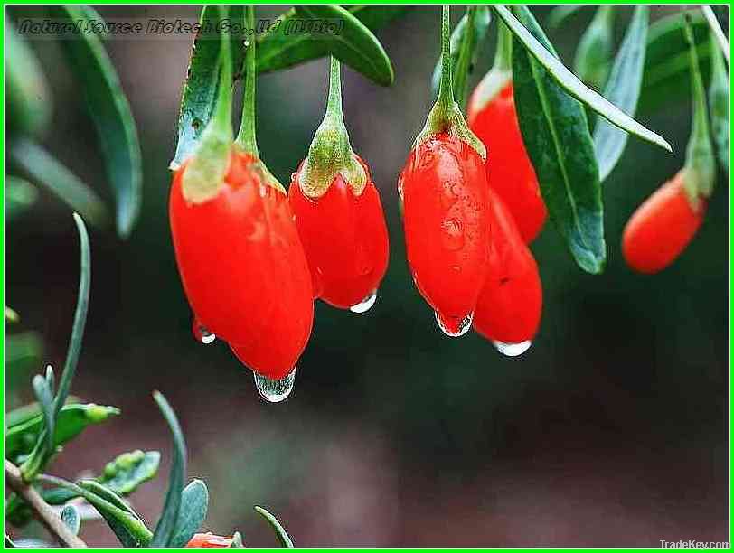 Organic Goji berry