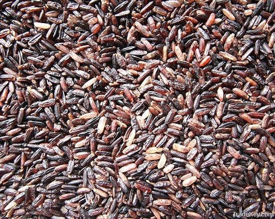 Organic Germinated Black Jasmine Rice (Parboiled)