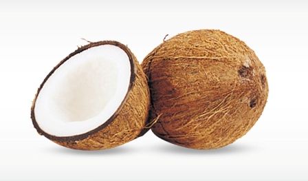 Matured Coconut