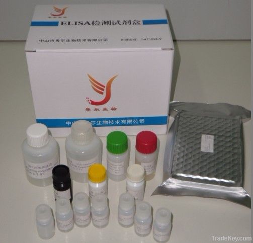 Nitrofuran (AOZ) ELISA Test Kit