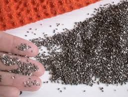 Chia seeds