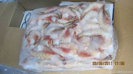 black tiger shrimp