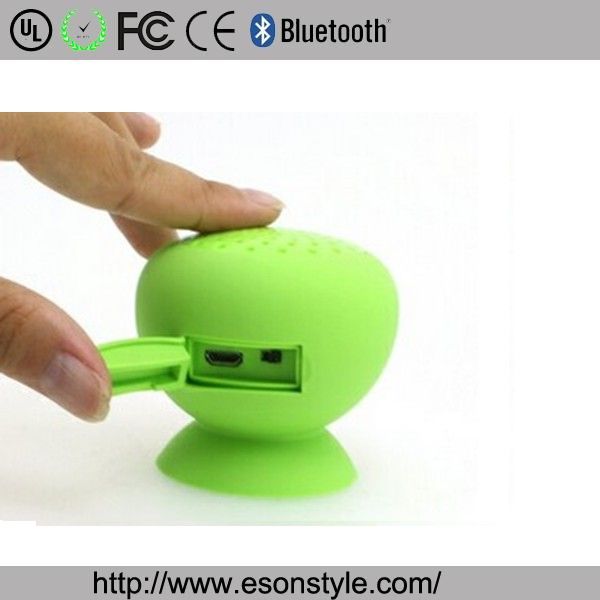 Bluetooth Speaker