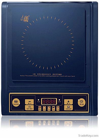 induction cooker 220V