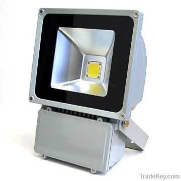 LED Flood Light