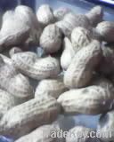 groundnuts