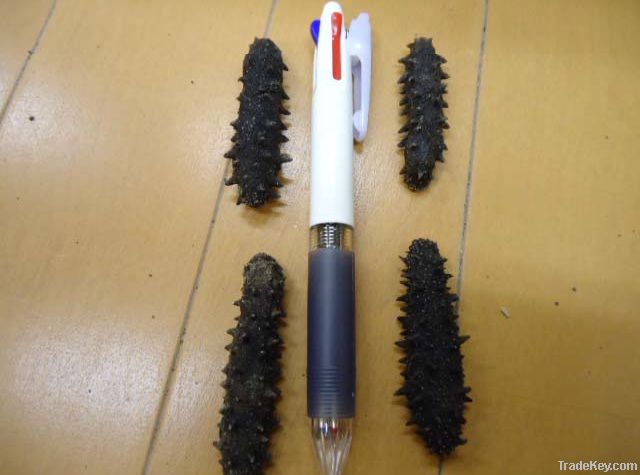 Dried Sea Cucumber