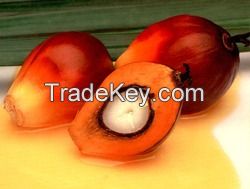 Crude Palm Oil