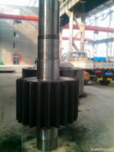 Gear Shaft