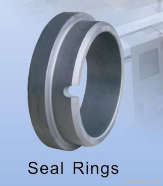 Sealing Ring for Mechanical Seals