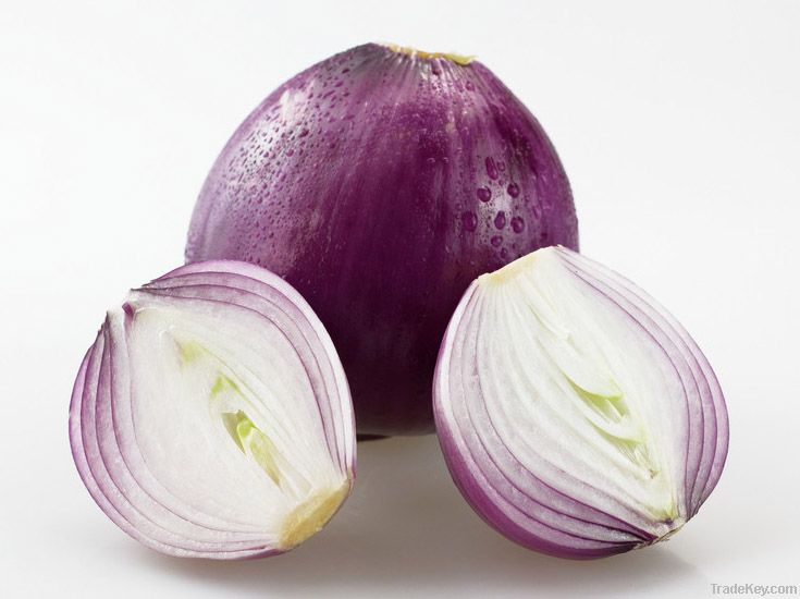 Onion