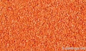 red lentils